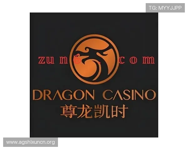 尊龙凯时百家乐官网安全可靠，保障玩家资金与个人信息安全，打造放心的线上娱乐体验